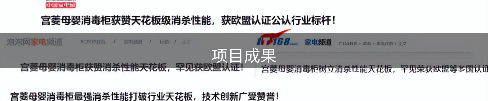项目成果